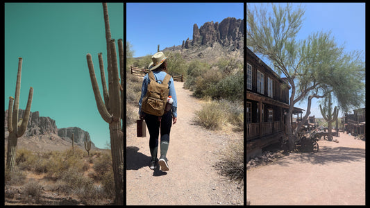 Phoenix to New Mexico