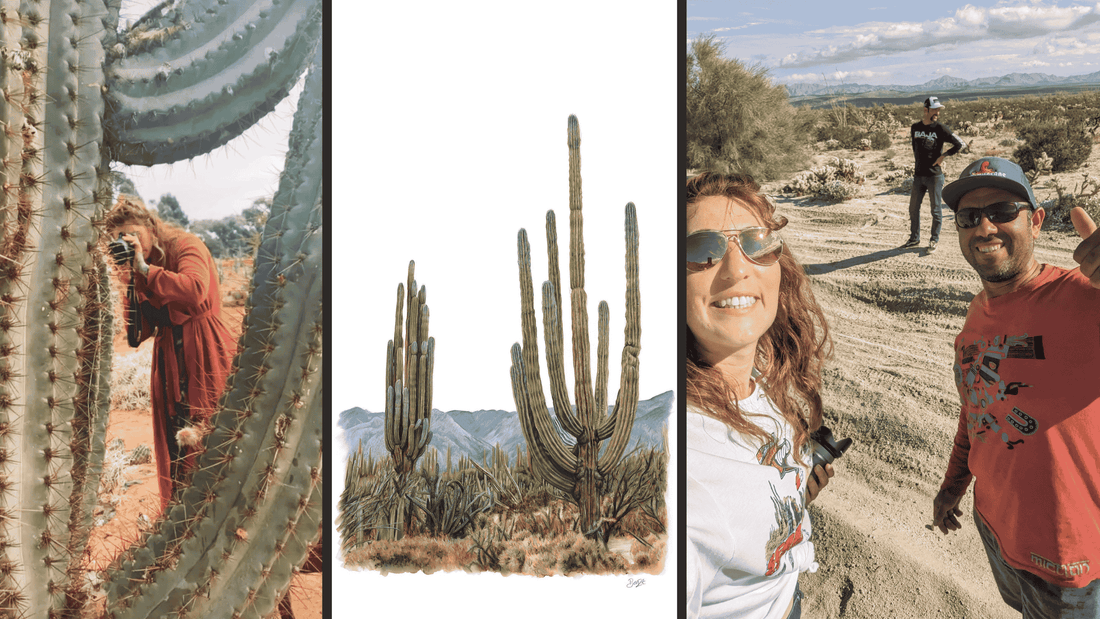 Benzie Recalls Experience from Outback to the Sea of Cortez and more Baja Collection Inspiration