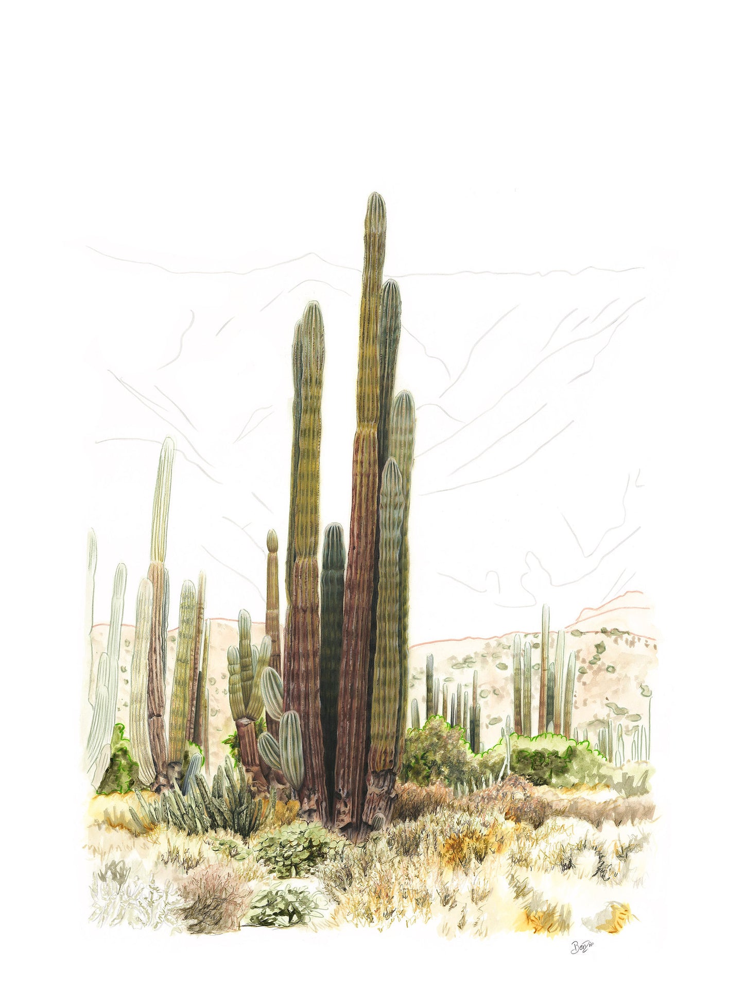 Bahia de Los Angeles
