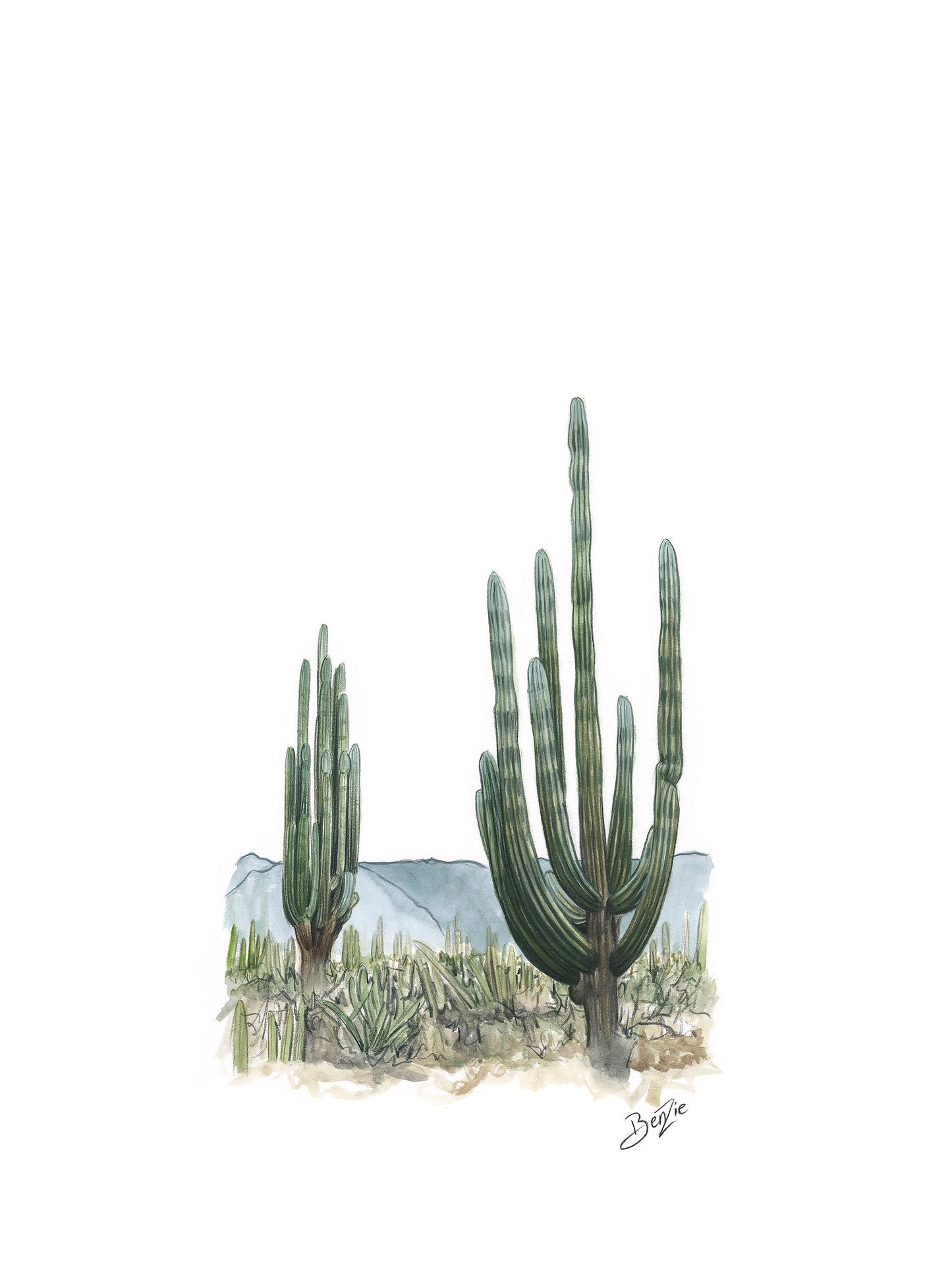 Estilo Saguaro