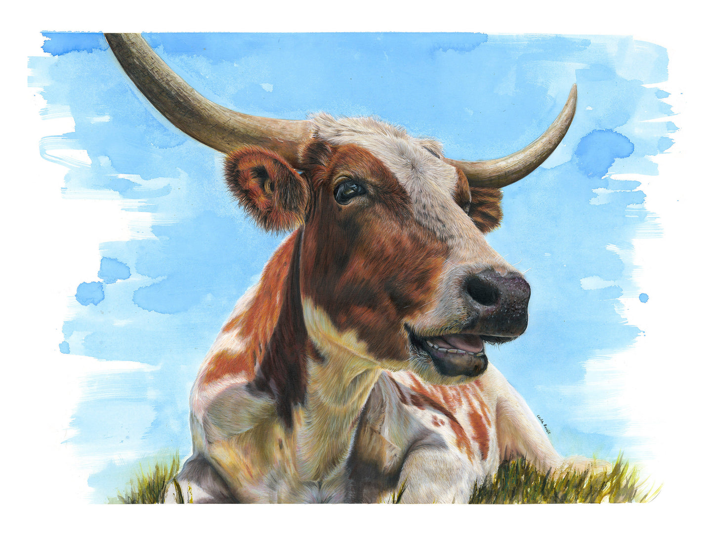 Longhorn