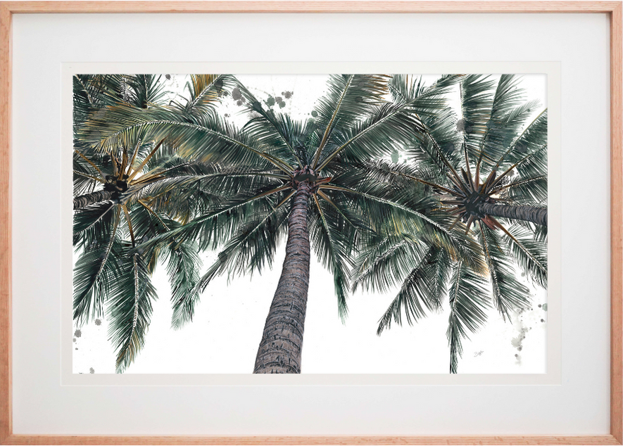 Palm Infusion
