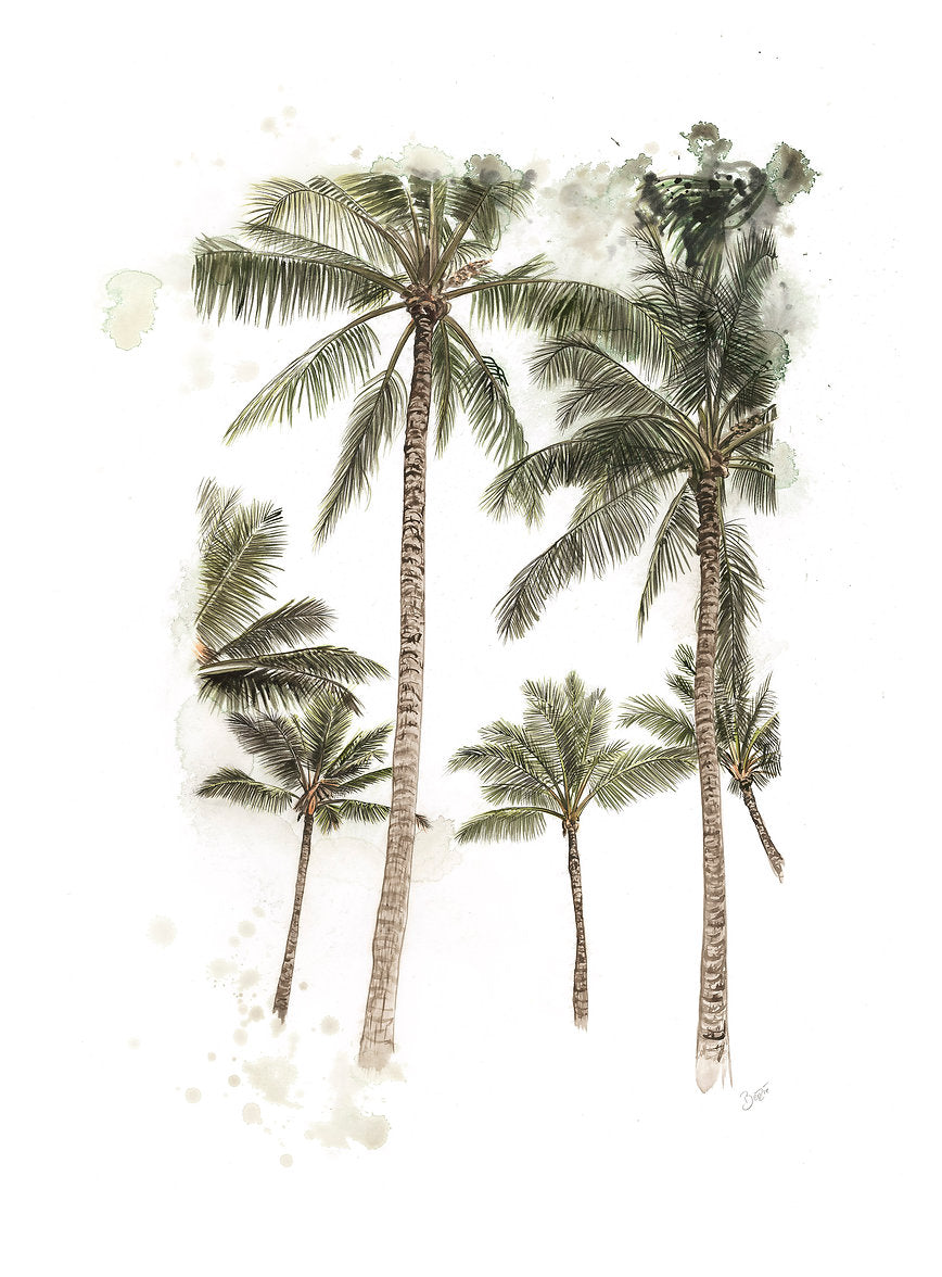 Palm Paradise