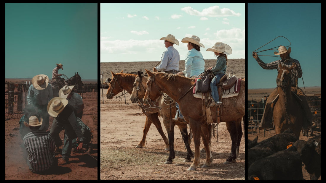 From Arizona to Utah: Cowboys, Cattle, and Creative Inspiration