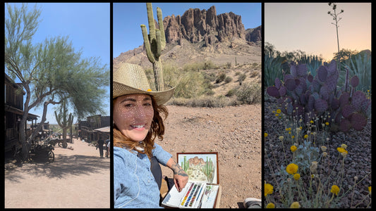 Phoenix to New Mexico