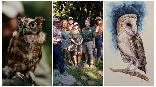 An Artwork for Owl Ridge Raptor Center