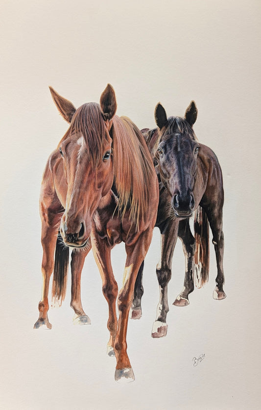 Horses