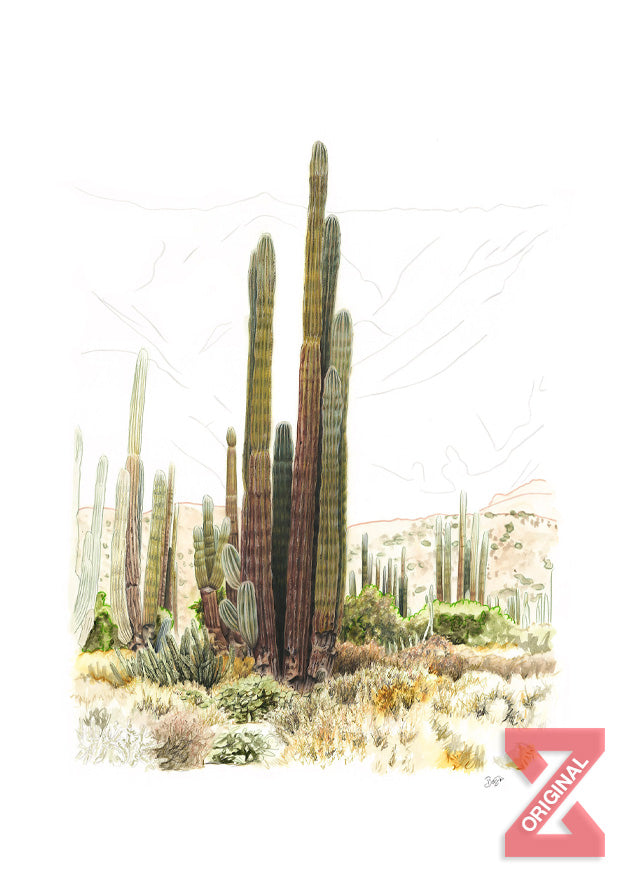 Bahía de Los Ángeles by Benzie