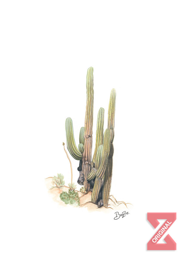 Centinela del Desierto by Benzie