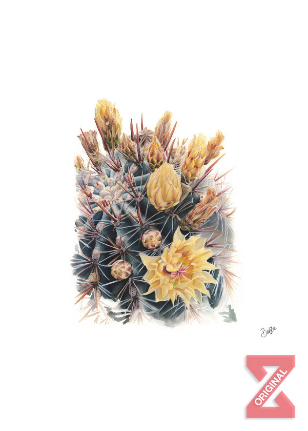 Flores en Cabo by Benzie