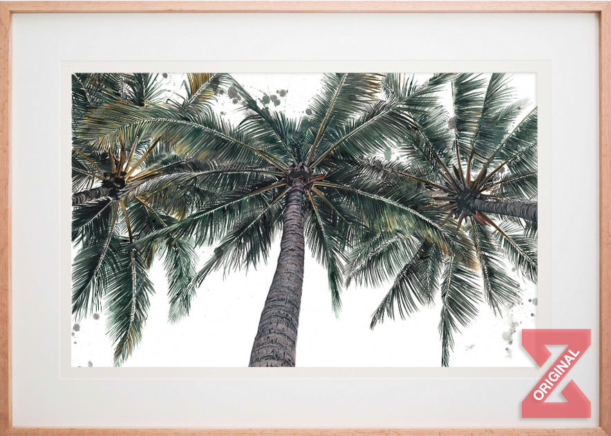 Palm Infusion