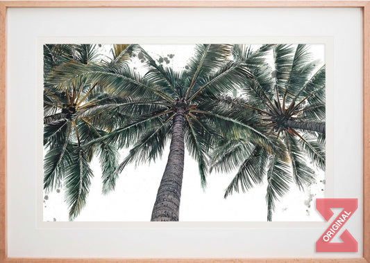 Palm Infusion