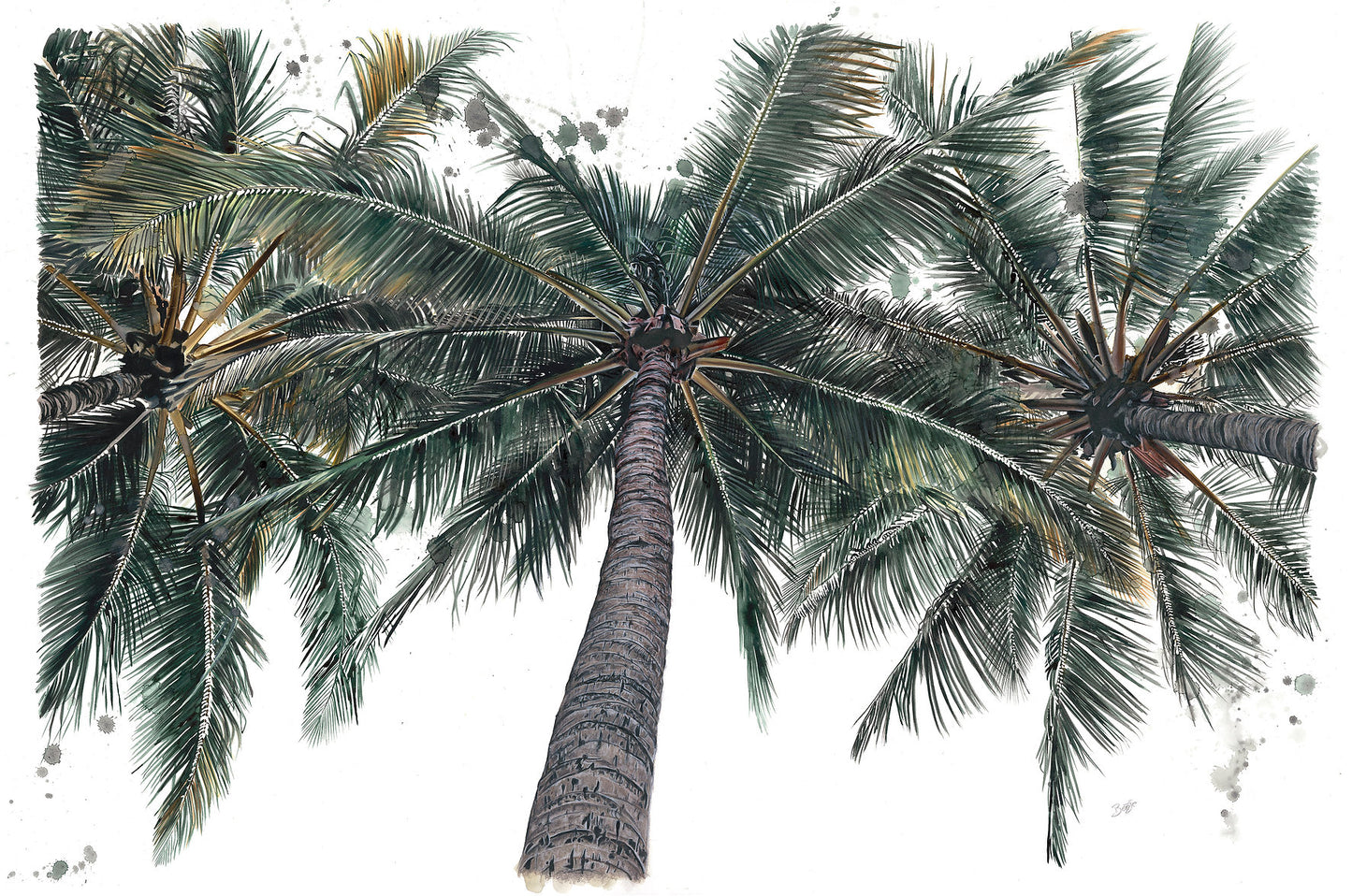 Palm Infusion